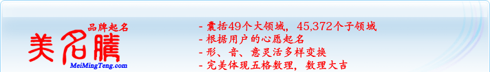 49個(gè)大領(lǐng)域，45,372個(gè)子領(lǐng)域；根據(jù)用戶的心愿起名；形，音，意靈活變換；完美體現(xiàn)五格數(shù)理