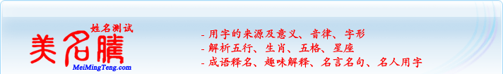 用字的來源及意義、音律、字形；五行、生肖、五格、星座；成語釋名、趣味解釋、名言名句、名人用字