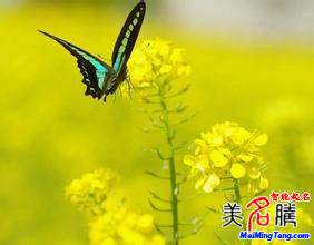 怎樣給自己起網(wǎng)名？