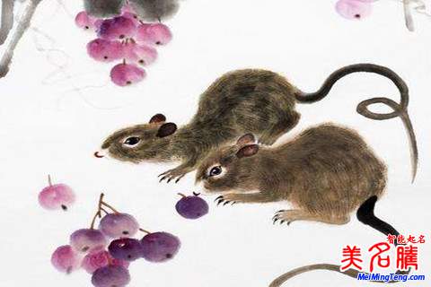 鼠年孫姓新生女?huà)肫鹈记珊兔执笕? /></a>鼠年孫姓新生女?huà)肫鹈记珊兔执笕号⑸鷣?lái)就是父母身邊的小公主,而且女孩乖巧可愛(ài)、溫柔賢惠,可以給父母帶來(lái)一絲快樂(lè)和幫助。以下美名騰起名網(wǎng)整理了一些鼠年孫姓新生女?huà)肫鹈记?,一起?lái)看看吧!鼠年孫姓新...</div>
<span id="ctl00_ContentPlaceHolder1_subjectList_dgNews_ctl11_Label1" style="color:Green;font-size:10pt;">2018/4/30 17:31:05</span>
<div style="height:5px; font-size:5px"> </div>
<hr width="99%" style="text-align:center; border-style:dotted; border-width:0px; height:1px;" />
<div style="height:5px; font-size:5px"> </div>
</div>
</td>
</tr><tr style="border-width:0px;">
<td valign="top">
<div style="padding-left:3px; padding-right:3px;line-height:180%">
<h3 style="padding:0px;margin:0px;display:inline;"><a id="ctl00_ContentPlaceHolder1_subjectList_dgNews_ctl12_HyperLink1" class="headline" href="/subject/shu/s.aspx?newsid=8345" target="_blank">鼠年錢(qián)姓男孩起名注意事項(xiàng)和名字大全</a></h3>
<span style="color:Red;font-size:8pt;"></span>
<br />
<div style="padding-top:1px; width:95%; padding-left:8px; line-height:180%;color:#2f2f2f;font-size:14px;" ><a href=