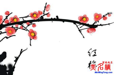 2018梅姓寶寶最詩意、最不凡的名字大全
