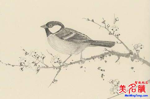 2018梅姓寶寶最詩意、最不凡的名字大全