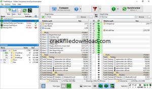 Free File Sync Crack